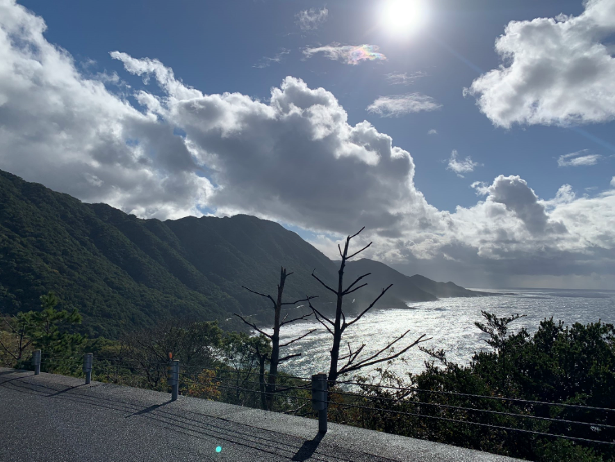 Happy New Year from Yakushima Senvus Village : 屋久島センバスビレッジより新年のご挨拶