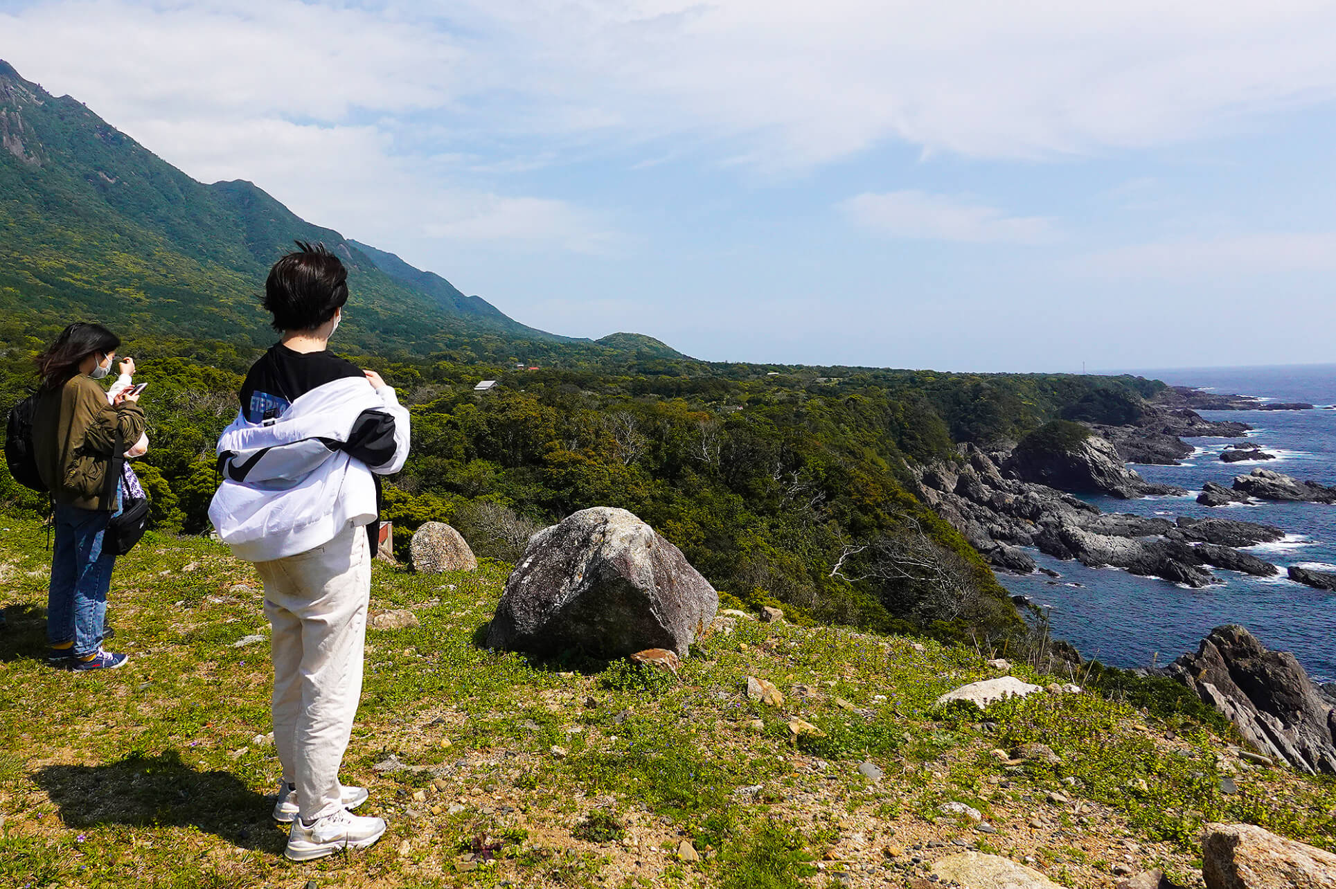 光が差し込む森の風景